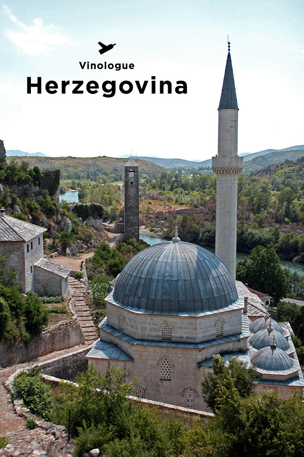  » Herzegovina