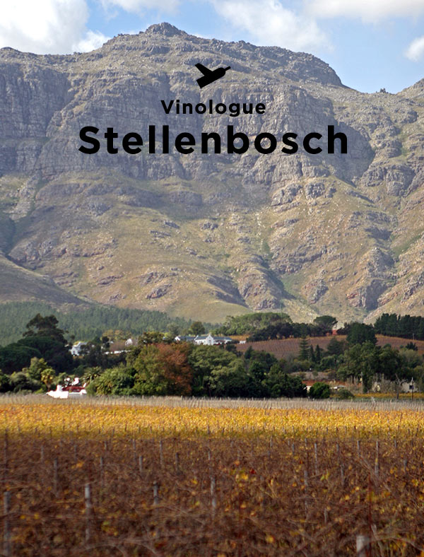  » Stellenbosch